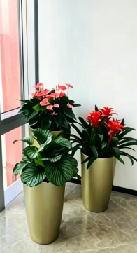 杭州湾花木租赁方案九条建议，少走弯路
