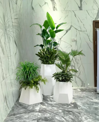 杭州湾绿植租用服务-鄞州员工福利绿植租赁价格-鄞州绿植租摆合同-杭州湾花卉店
